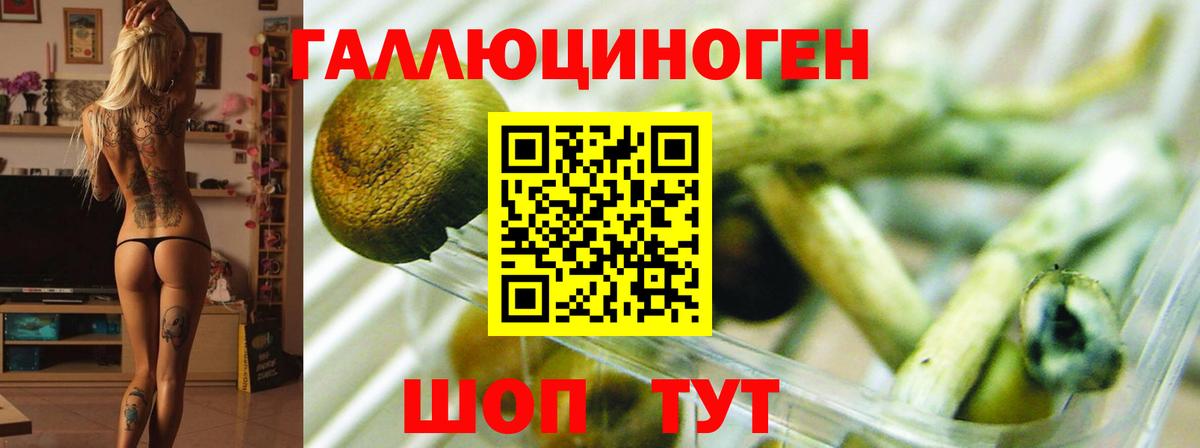 Северодвинск  Псилоцибиновые грибы мицелий  Галлюциногенные грибы мицелий  Вход с VPN 